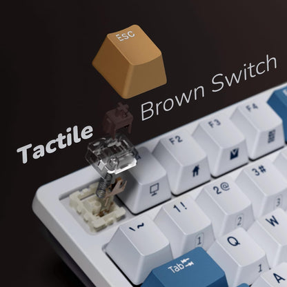 **Title:**  RK ROYAL KLUDGE RK98 Wireless Mechanical Keyboard – 98% Layout, Hot-Swappable, Tri-Mode Connectivity, RGB Backlit with Brown Switches and Numpad